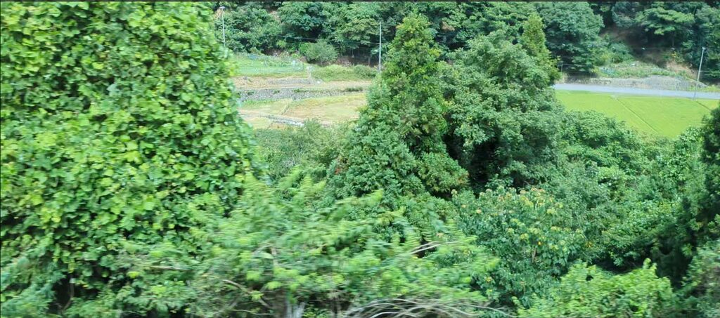 山陰線3日目の車窓から見える緑の風景